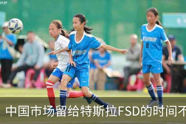 中国市场留给特斯拉FSD的时间不多了？