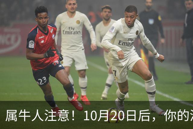 属牛人注意！10月20日后，你的清闲日子要暂时叫停了