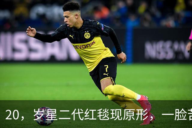 20，岁星二代红毯现原形，一脸苦相摇头晃脑不自信，没星味就别硬挤